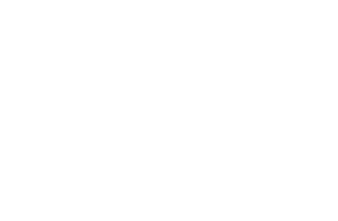 <p>坂本龍馬の愛刀として知られる打刀。<br />
どこか田舎くささが抜け切らない風貌であるが、<br />
新しい物好きで、先を見据えた考え方を大切にする。<br />
自身の野心と主への忠誠心、どちらに対しても真っ直ぐ。</p>
