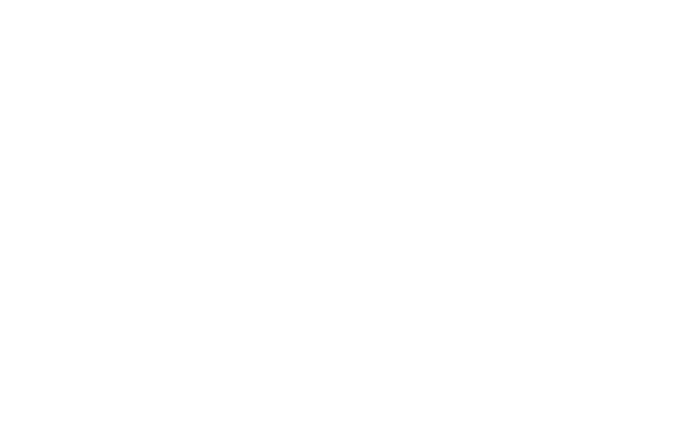 <p>武市半平太が使用していたとされる打刀。<br />
学者然とした刀剣男士であり、知識で審神者を助ける。<br />
その一方で人斬りに相応しい刀でもあり、次々と敵を斬る。<br />
実は下戸。<br />
&nbsp;</p>
