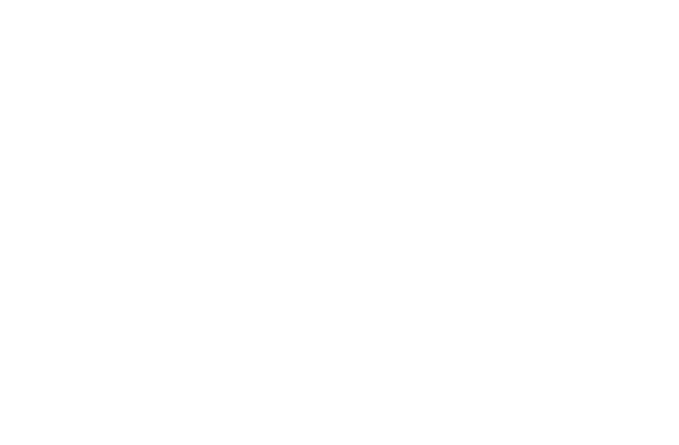 <p>備前長船派の刀工、兼光作の打刀。<br />
上杉景勝を主君とし米沢藩を支えた直江兼続の愛刀。<br />
兼続の死後、後家であるお船の方が上杉家に献上したことが名の由来。<br />
姫鶴一文字とは「おつう」「ごっちん」と呼び合う、気の置けない間柄。<br />
&nbsp;</p>
