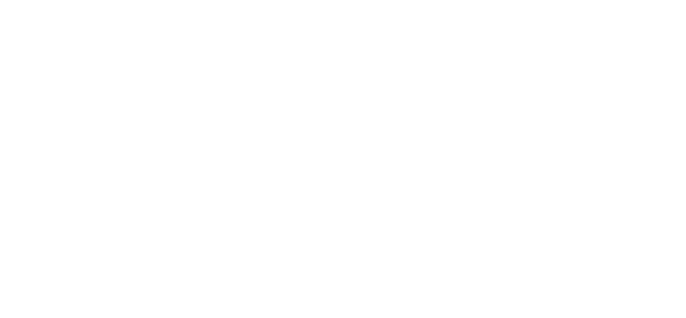 <p>備前長船派の刀工、兼光作の打刀。<br />
上杉景勝を主君とし米沢藩を支えた直江兼続の愛刀。<br />
兼続の死後、後家であるお船の方が上杉家に献上したことが名の由来。<br />
姫鶴一文字とは「おつう」「ごっちん」と呼び合う、気の置けない間柄。<br />
&nbsp;</p>
