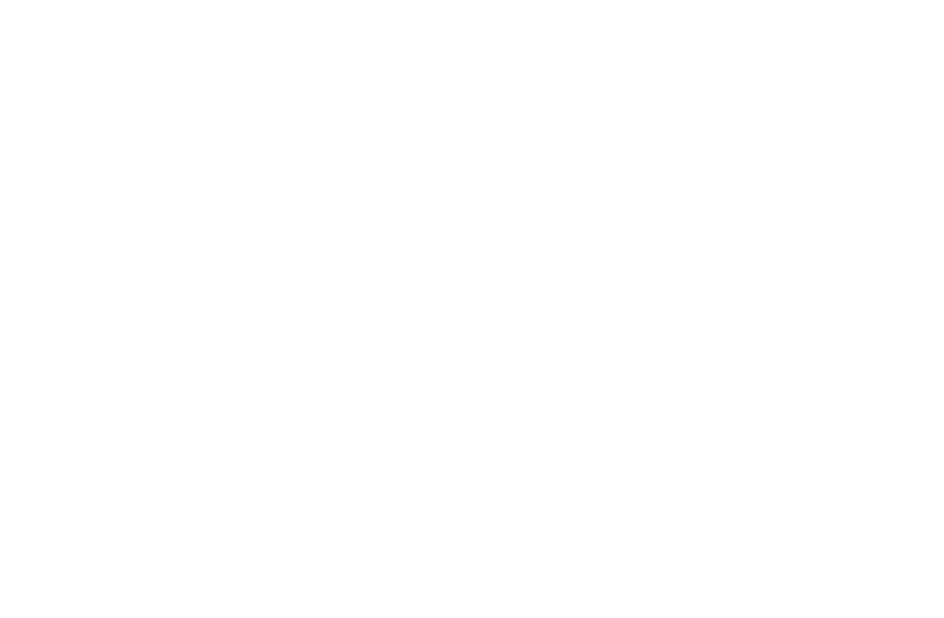 <p>江戸を拠点とした名刀工「江戸三作」のひとり、大慶直胤作の打刀。<br />
刀工水心子正秀の一番弟子にして科学の徒であった刀工大慶直胤の資質を強く引き継ぐ。<br />
新々刀である前に、正秀の友でありたいと思っている。<br />
&nbsp;</p>
