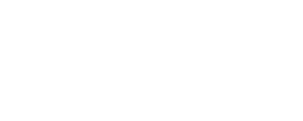 <p>江戸を拠点とした名刀工「江戸三作」のひとり、大慶直胤作の打刀。<br />
刀工水心子正秀の一番弟子にして科学の徒であった刀工大慶直胤の資質を強く引き継ぐ。<br />
新々刀である前に、正秀の友でありたいと思っている。<br />
&nbsp;</p>
