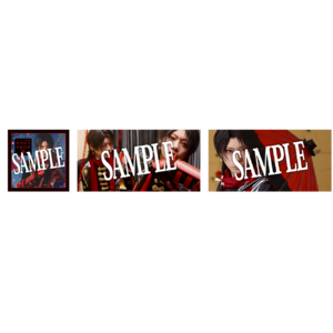 【受注生産】【加州清光 単騎出陣 極】パンフレット